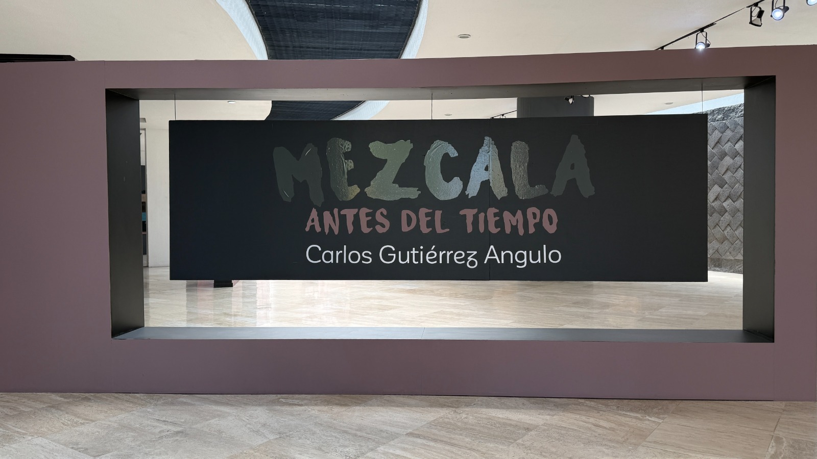 imperdible-la-exposicion-mezcla-antes-del-tiempo-de-carlos-gutierrez-en-ccm-toluca