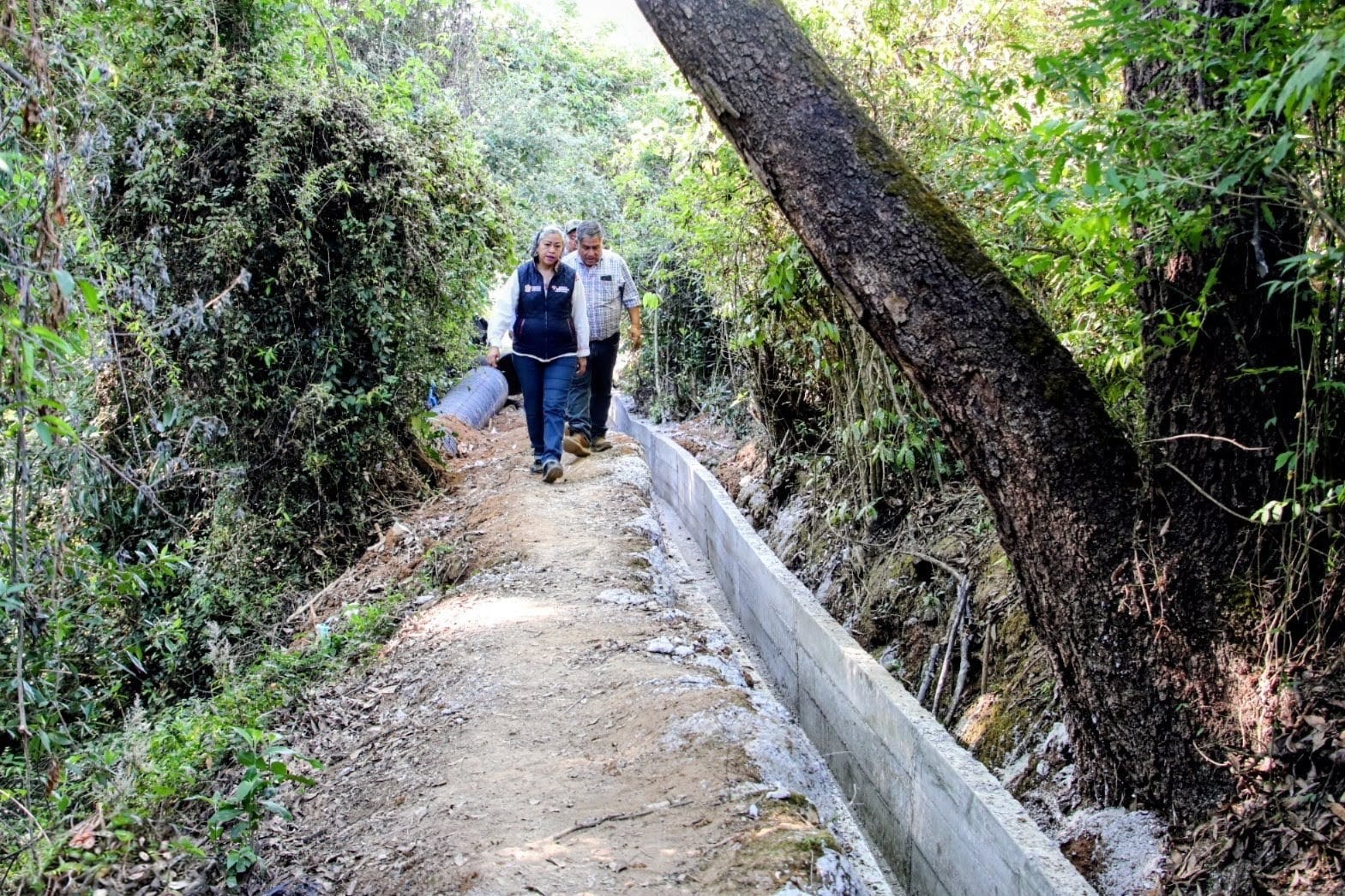 optimizan-sistemas-de-riego-a-favor-de-productores-de-fresa-y-floricultores
