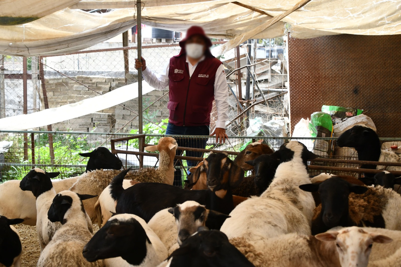 a-las-manos-del-pueblo-productos-incautados-a-criminales-en-edomex