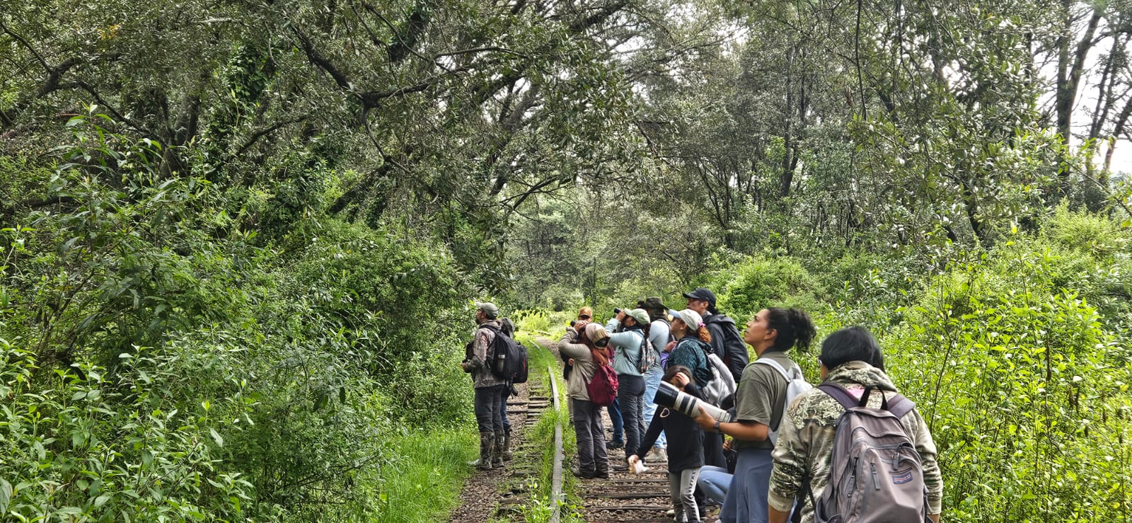 invita-gem-al-avistamiento-de-aves-en-el-calvario-de-toluca