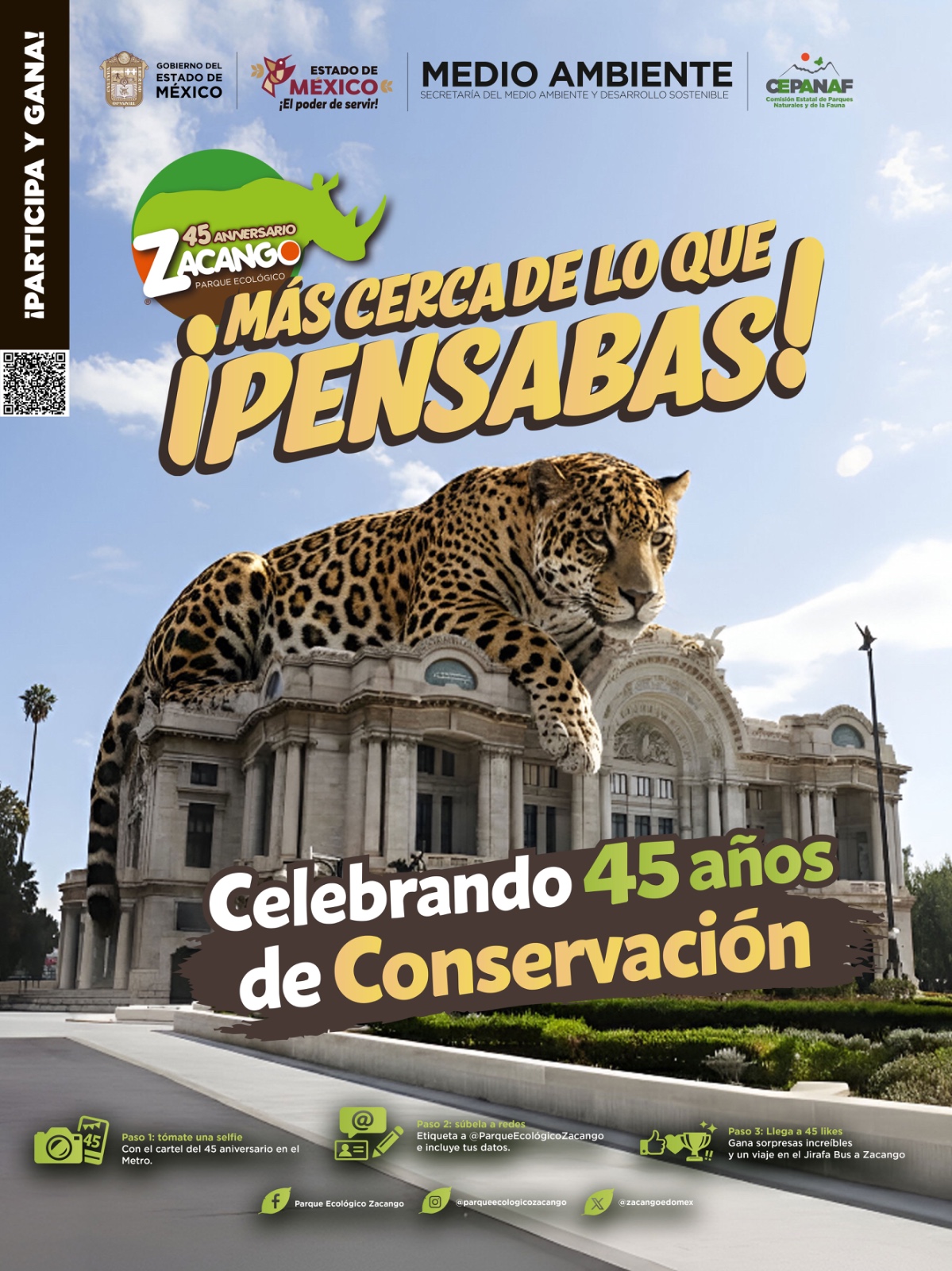 animalitos-de-zacango-en-el-metro-de-la-cdmx-tomate-foto-con-ellos-y-obten-un-pase-gratis-al-zoologico