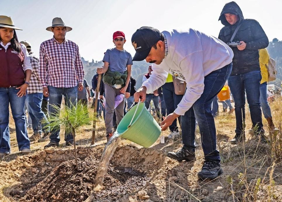 gobierno-del-edomex-celebra-el-dia-del-amor-y-la-amistad-por-el-bosque-con-jornada-de-reforestacion-en-nueve-municipios