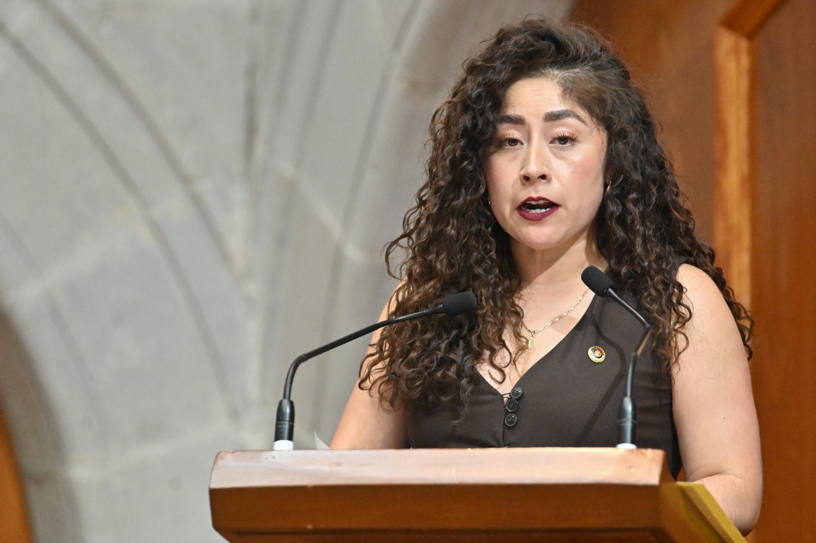 que-decidan-ciudadanos-en-que-se-invierte-el-presupuesto-municipal-propone-diputada