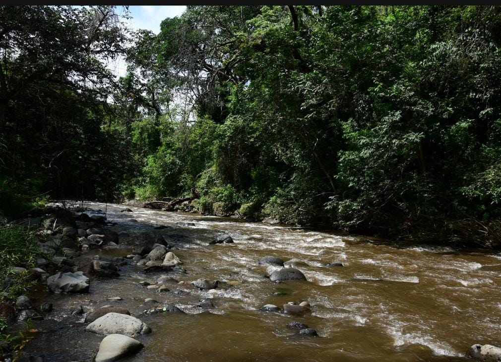 tienes-terreno-en-un-bosque-gobierno-del-edomex-abre-convocatoria-de-programas-forestales-con-apoyo-de-hasta-165-mil-pesos