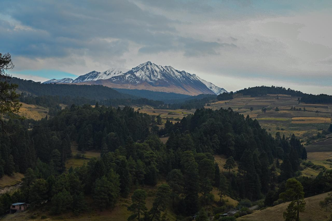 edomex-refuerza-proteccion-de-bosques-con-restauracion-manejo-sustentable-y-educacion-ambiental