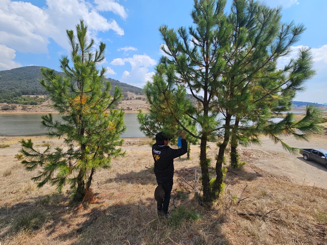 refuerzan-medidas-de-contencion-del-gusano-barrenador-del-ganado-en-edomex