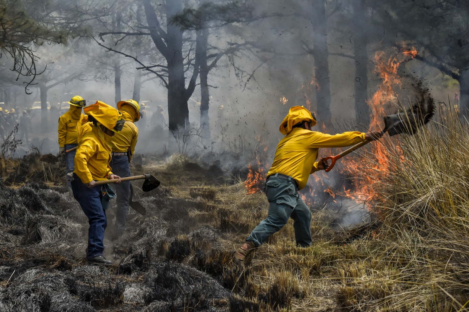 preparados-comites-de-manejo-del-fuego-para-combatir-incendios-durante-la-temporada-de-estiaje