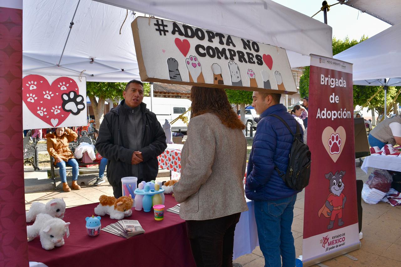 llega-atencion-veterinaria-para-mascotas-sin-costo-a-mexicaltzingo