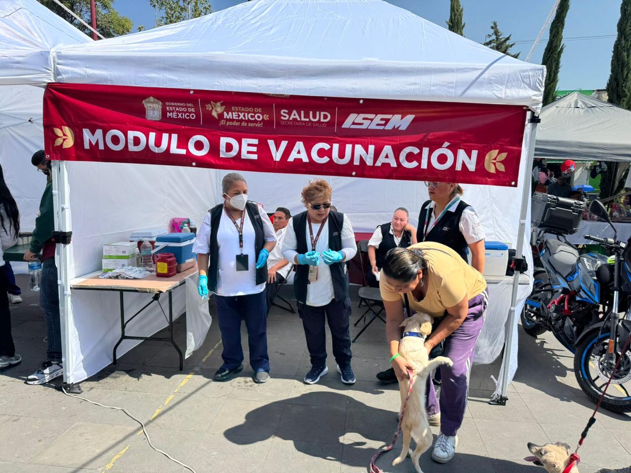 inmunizados-contra-la-rabia-707-mil-michis-y-lomitos-del-edomex-en-la-semana-nacional-de-vacunacion
