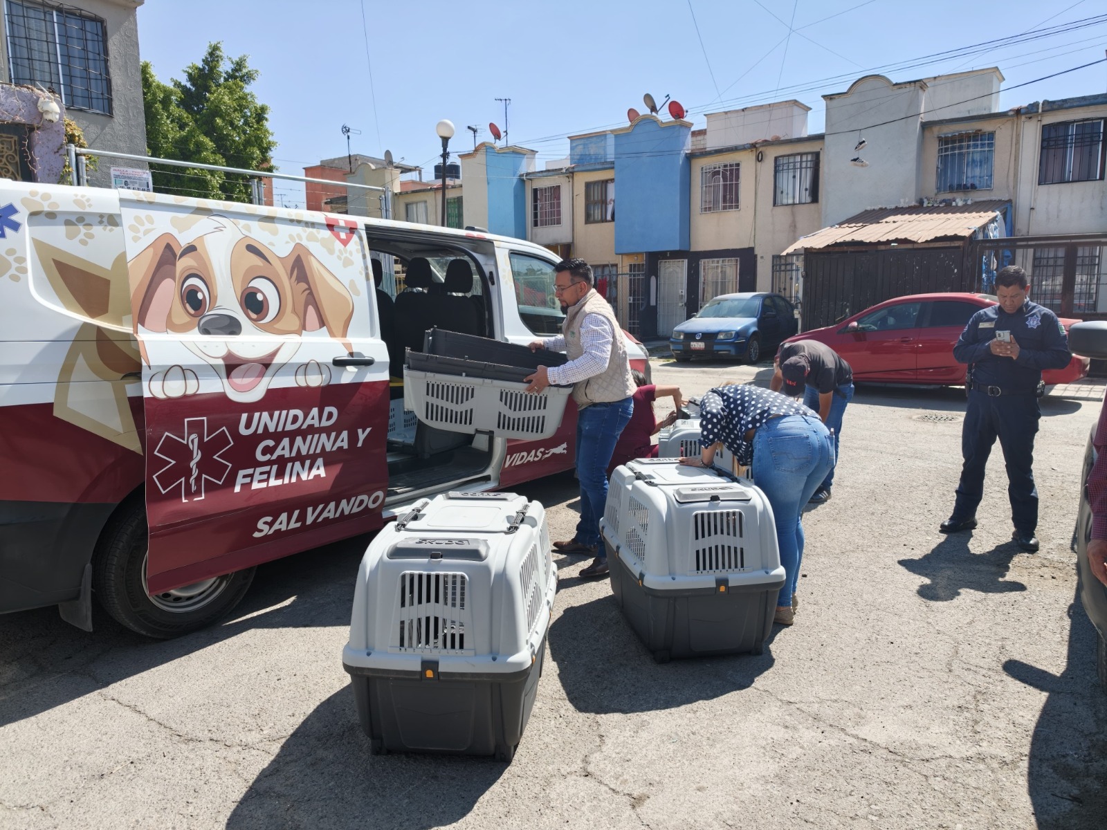 autoridades-resguardan-a-12-perritos-en-acolman-a-solicitud-ciudadana