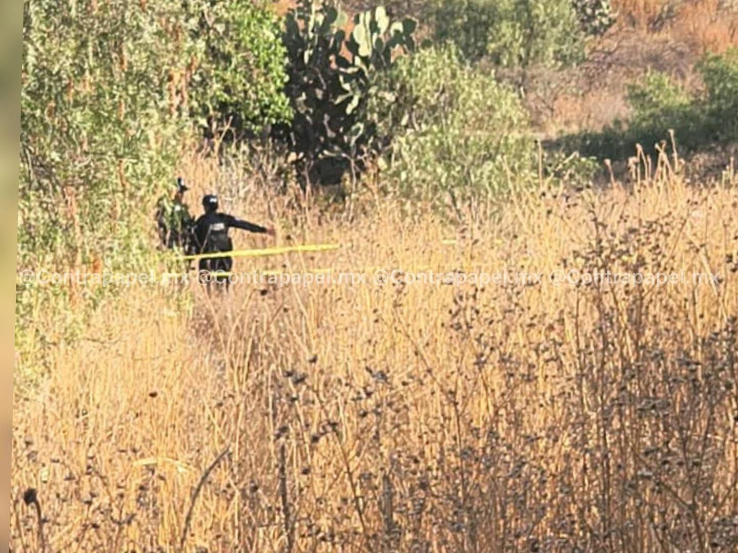 hallan-restos-humanos-en-texcoco-un-can-los-transportaba