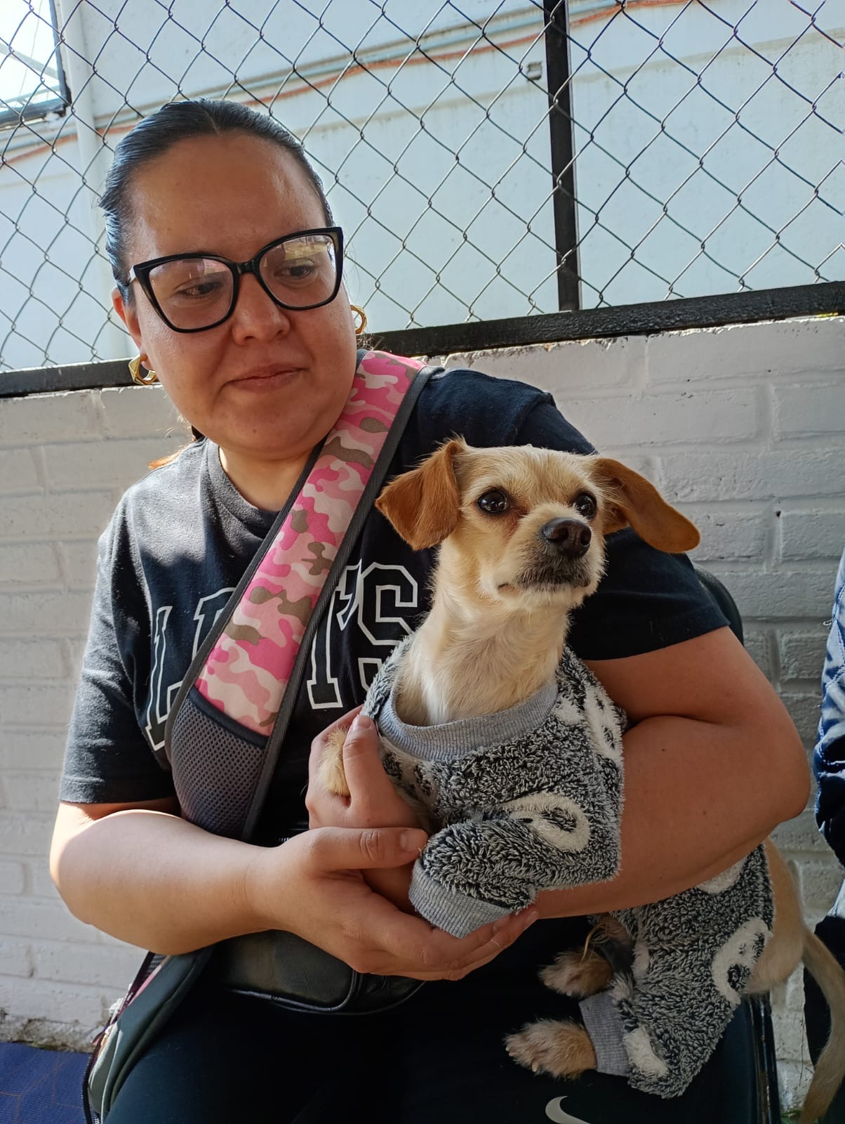 van-mas-de-550-animales-esterilizados-en-metepec-este-ano