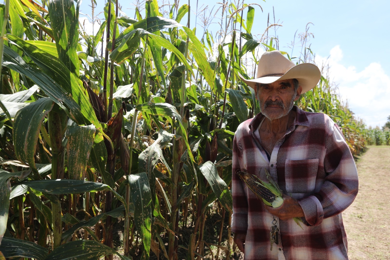 productores-de-maiz-en-el-edomex-ya-pueden-inscribirse-a-programa-de-apoyo-de-la-secampo