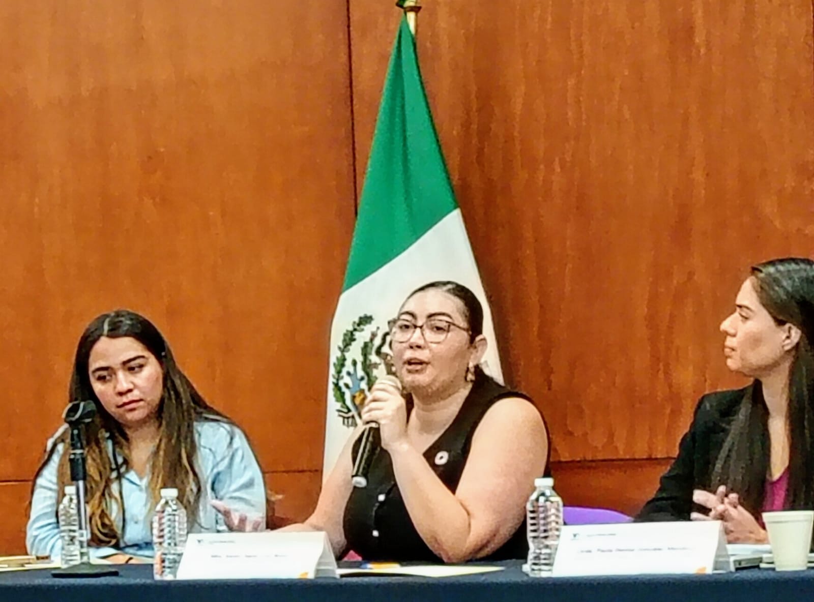 inutil-alerta-de-genero-sin-accion-para-frenar-la-violencia-a-mujeres-activista