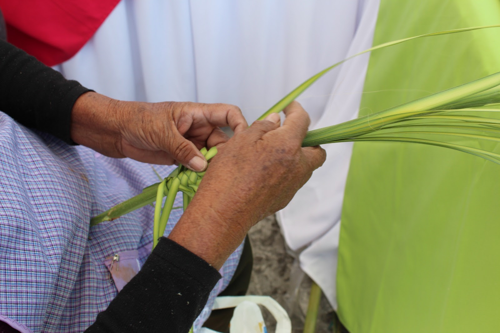 la-tradicion-artesanal-de-palma-distingue-al-edomex-en-temporada-de-semana-santa
