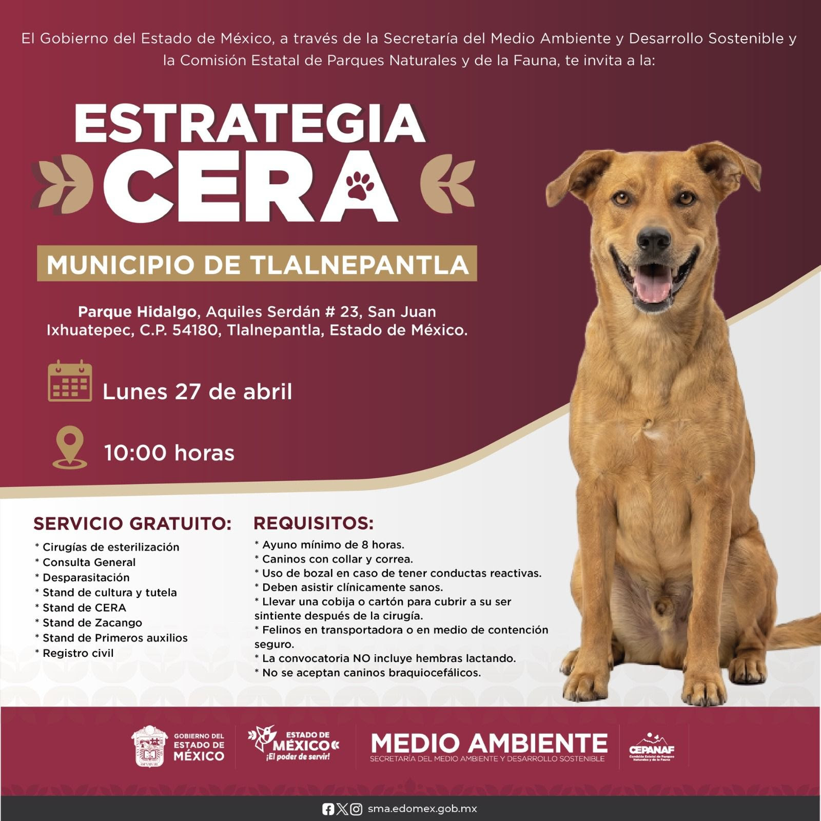 Gobierno del EdoMéx acerca servicios gratuitos veterinarios a Tlalnepantla con Estrategia CERA ¡Lleva a tu lomito o michi!