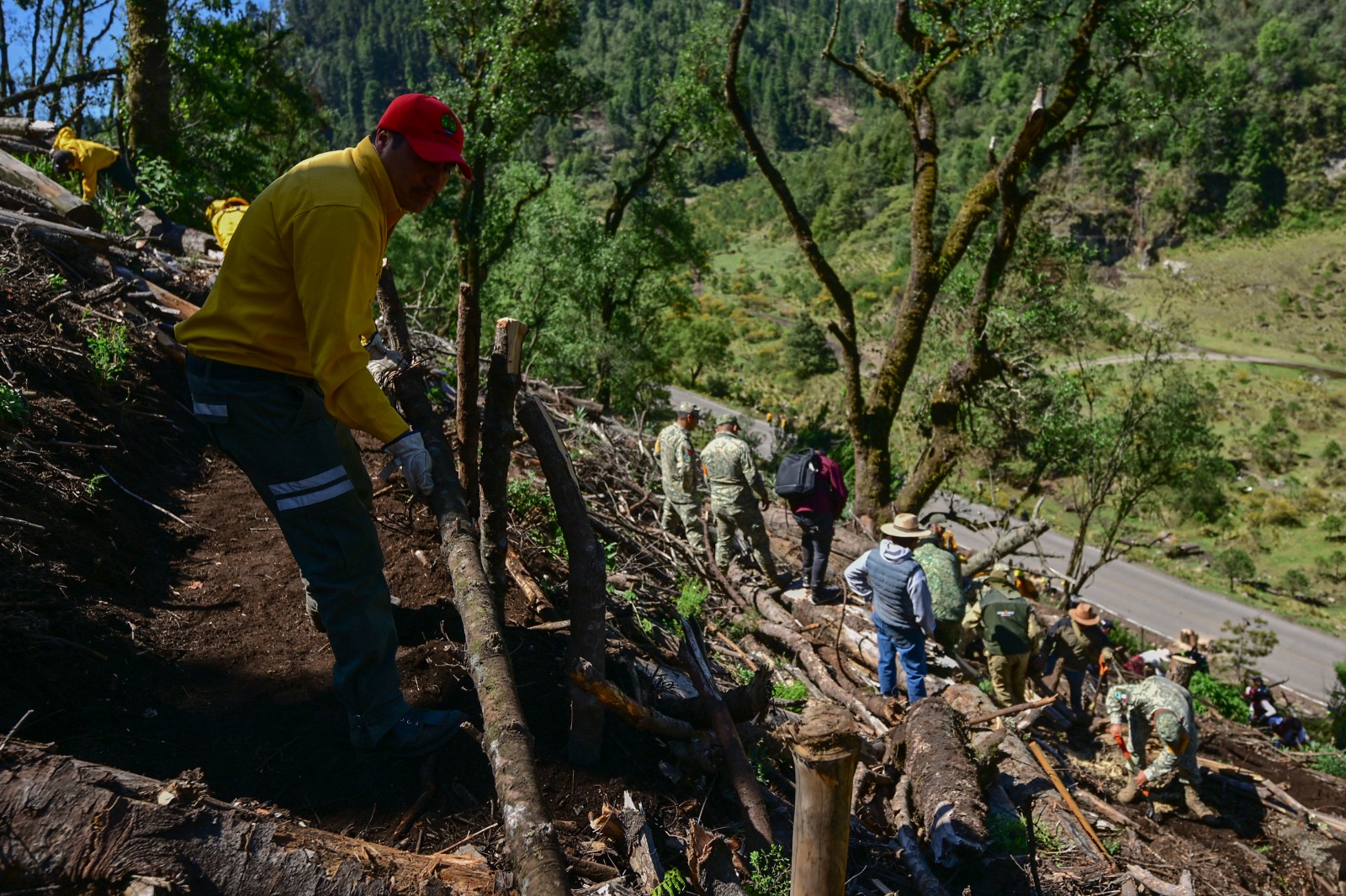 perfila-gem-reforestacion-masiva-en-ocuilan-ya-preparan-los-terrenos