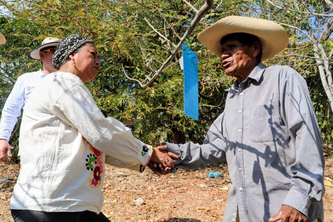 solo-un-caso-activo-de-gusano-barrenador-de-ganado-en-edomex