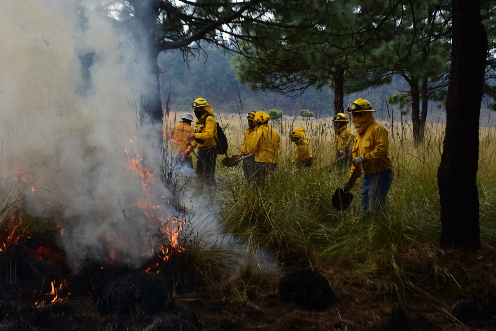 atencion-inmediata-a-reporte-de-incendios-garantiza-telefono-rojo-de-probosque