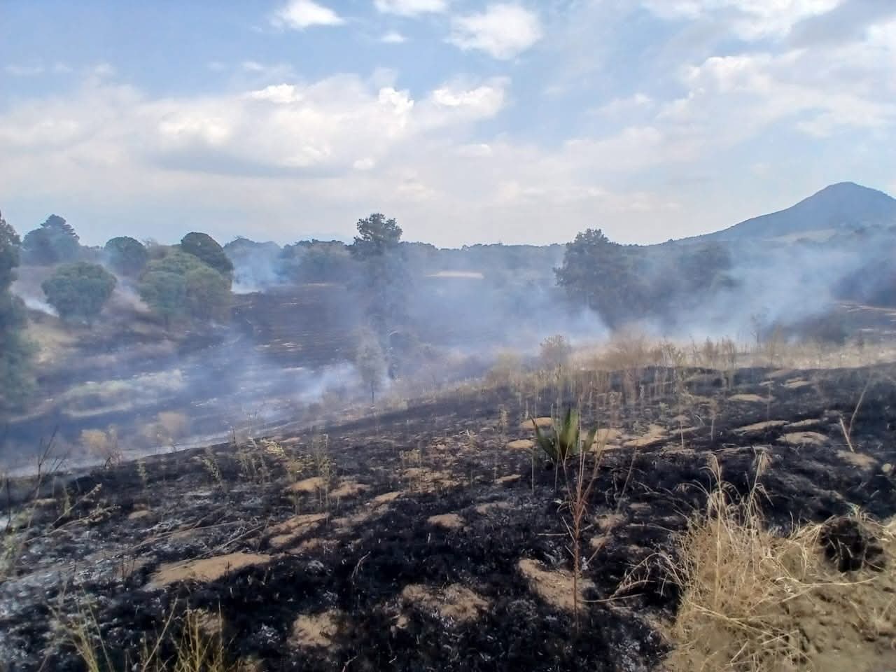 Lluvias atípicas  han reducido  afectación por  incendios en  Edomex, pese  a registrar el  mayor número   de siniestros   a nivel nacional