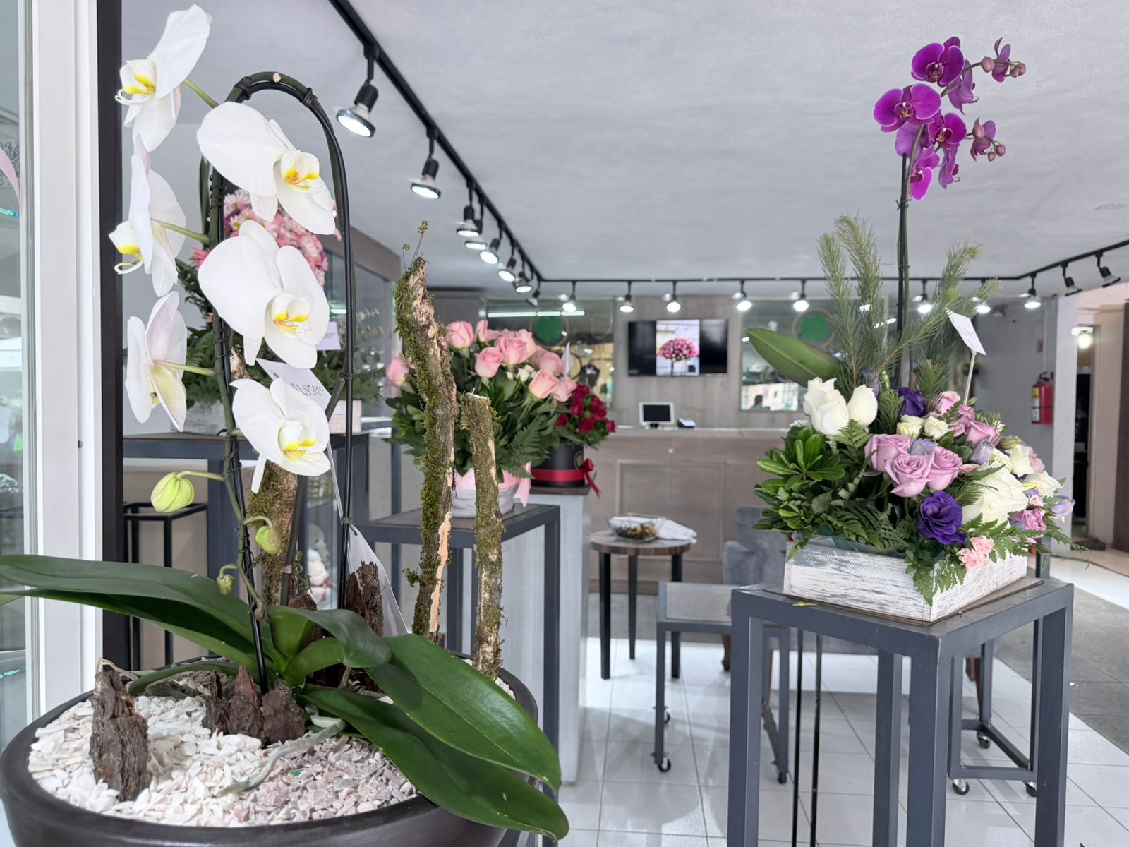 flores-el-regalo-favorito-para-mama-ventas-se-disparan-en-toluca-previo-al-10-de-mayo