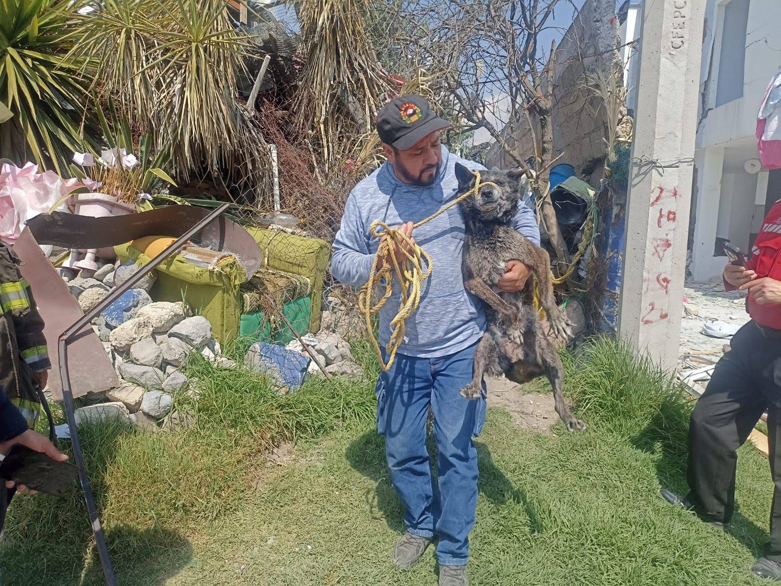 rescatan-a-perros-atrapados-entre-los-escombros-tras-explosion-por-acumulacion-de-gas-en-capultitlan