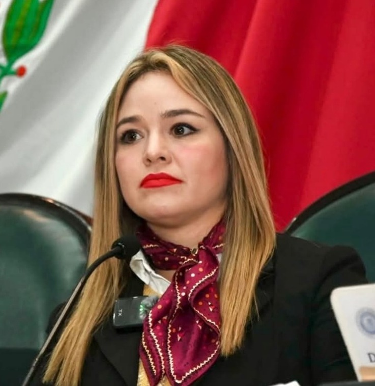 elemental-la-inversion-en-investigar-las-enfermedades-degenerativas-para-reducir-sobrecarga-del-sistema-de-salud-por-sus-efectos