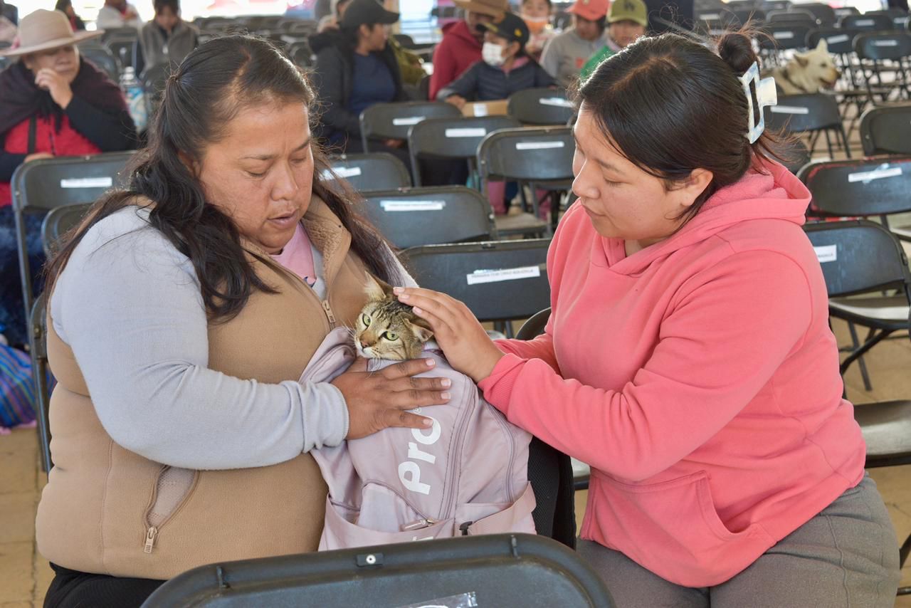 en-vigor-ley-de-proteccion-y-bienestar-animal-en-el-edomex-se-termino-impunidad-al-maltrato-de-mascotas
