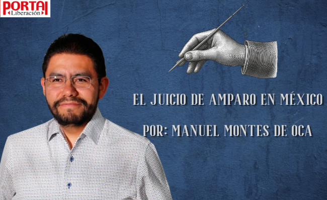 el-juicio-de-amparo-en-mexico-el-escudo-ciudadano-frente-al-poder