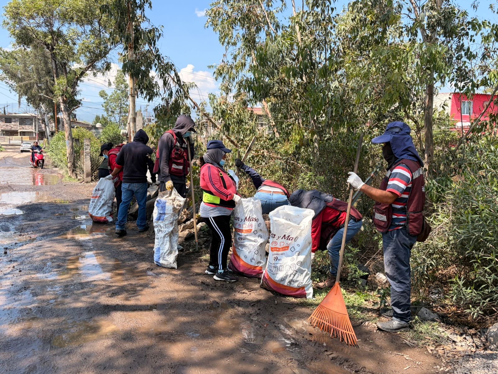 retiran-250-toneladas-de-basura-acumulada-en-una-zona-lacustre-en-v-de-chalco