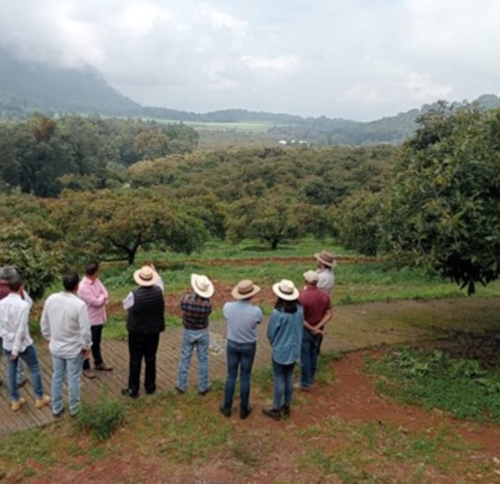 busca-el-ime-potenciar-el-comercio-de-produccion-agropecuaria-con-asesoria-a-campesinos