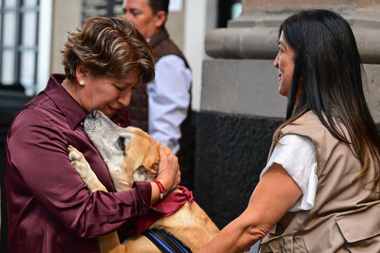 en-vigor-ley-de-proteccion-animal-en-el-edomex-unica-en-el-pais-zamora