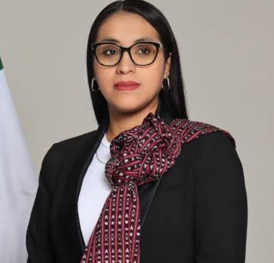 exige-nancy-napoles-que-fgr-atraiga-su-caso-ante-irregularidades-de-la-fgjem