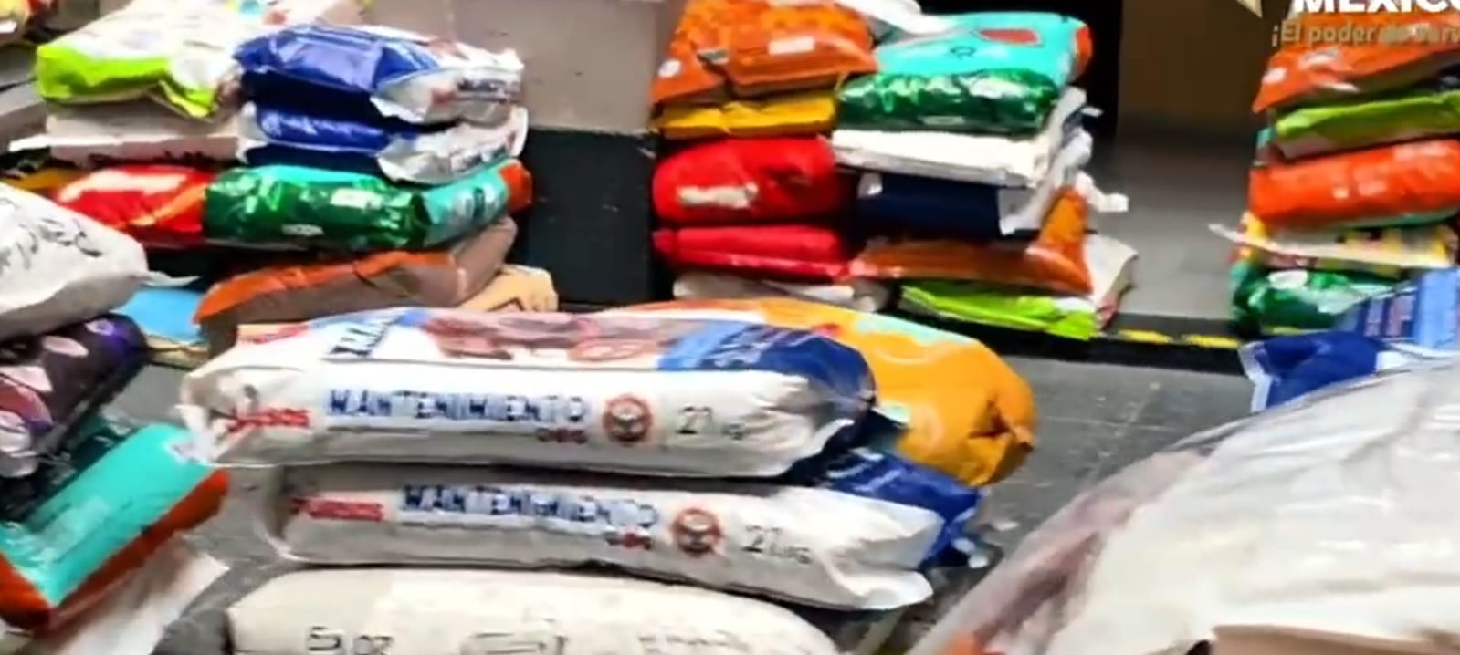 perfila-gem-presupuesto-para-apoyar-a-protectores-de-animales-y-anuncia-campana-de-acopio-de-croquetas
