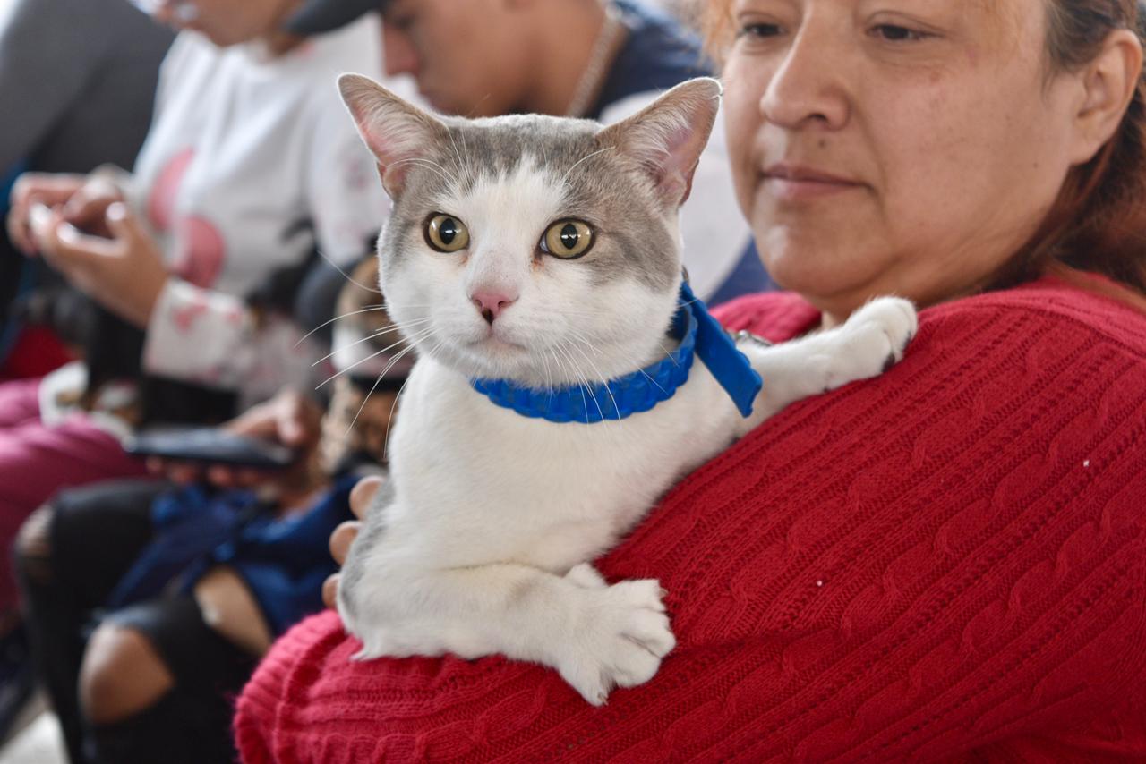 anuncian-jornada-de-atencion-veterinaria-sin-costo-en-valle-de-chalco