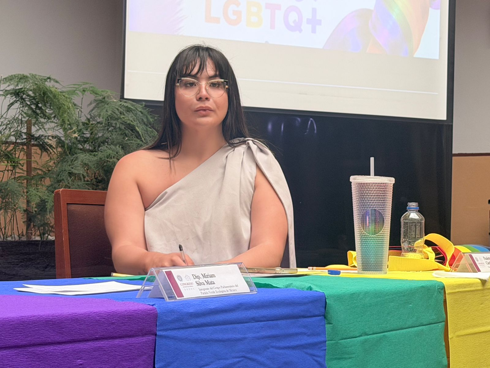 en-la-mesa-reforma-para-sanciones-efectivas-a-empresas-y-particulares-por-violencia-a-personas-lgbt-ante-caso-slava