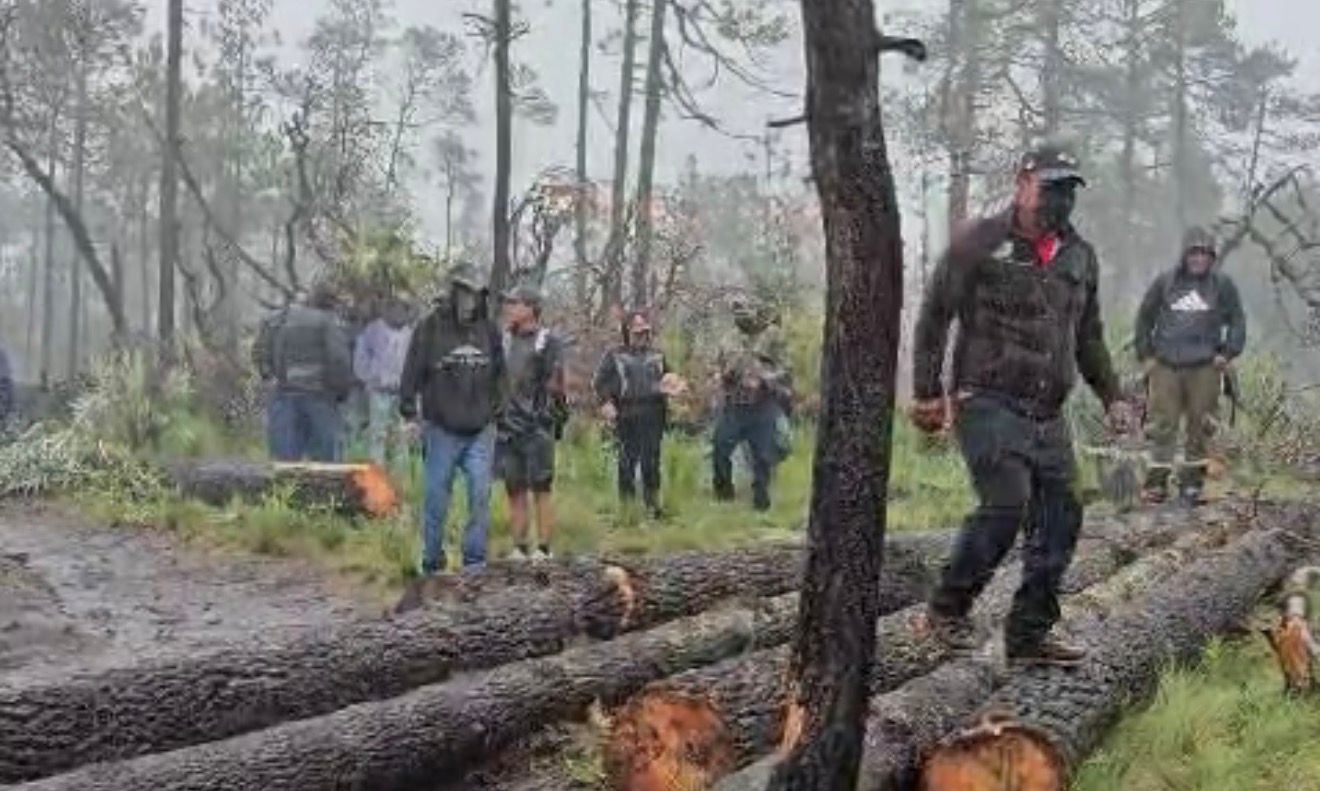 Preservación comunitaria de bosques en S. Pedro Atlapulco, el camino sin respaldo de autoridades