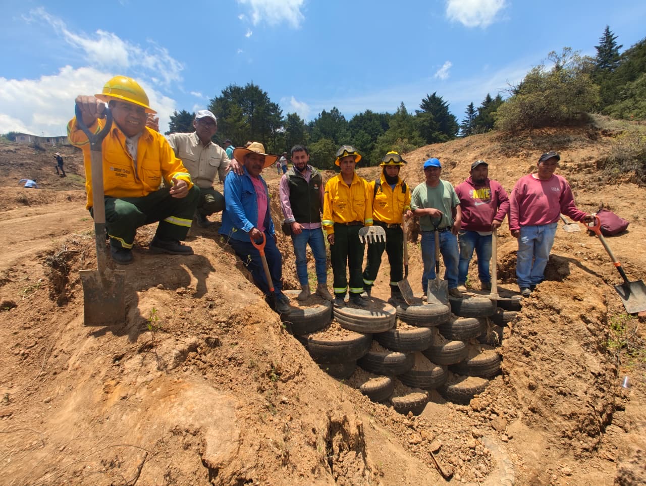 alistan-tierra-forestal-para-prolongar-la-vida-vegetal-en-trabajos-de-reforestacion