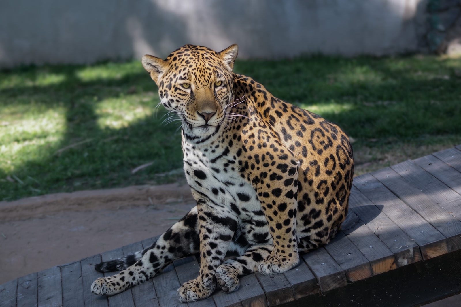 anuncian-que-no-habra-dia-que-no-abra-el-parque-ecologico-de-zacango