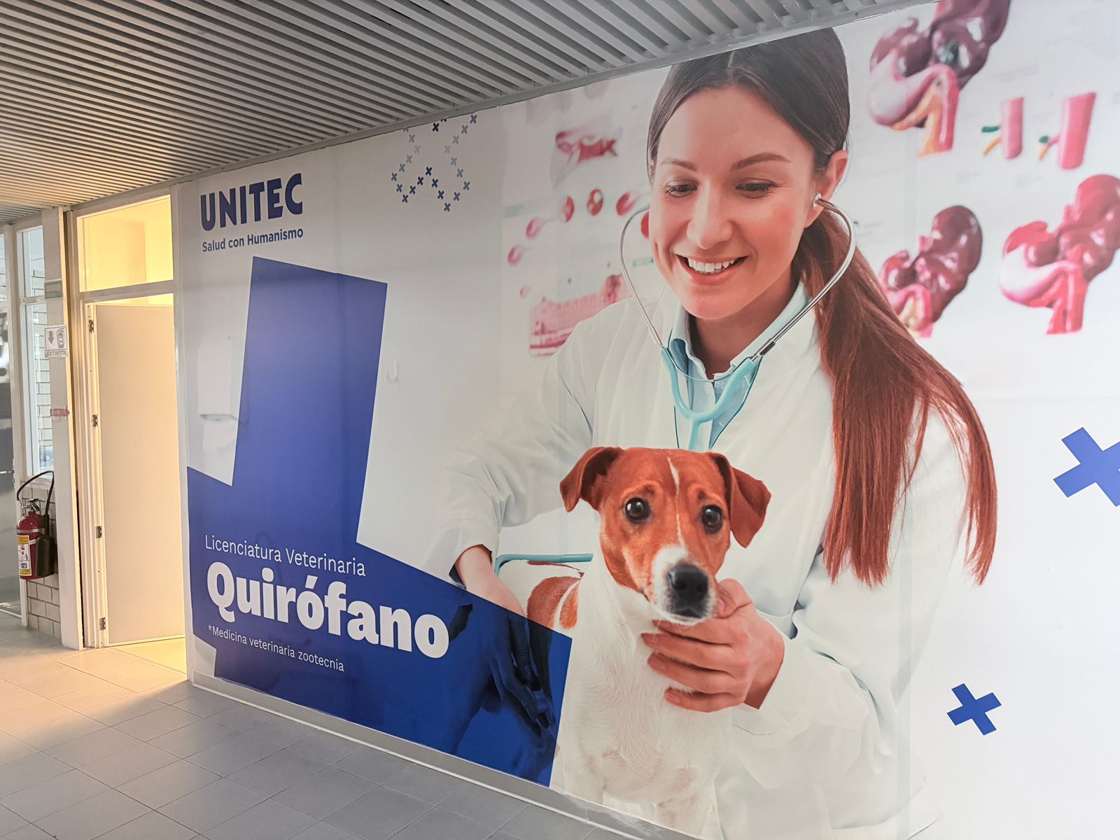 crece-demanda-de-medicos-veterinarios-en-el-valle-de-toluca-por-expansion-urbana-bienestar-animal-y-salud-publica