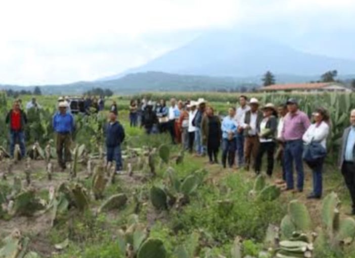 tecnologia-de-punta-y-estrategias-ancestrales-se-combinan-para-reforzar-la-agricultura-mexiquense