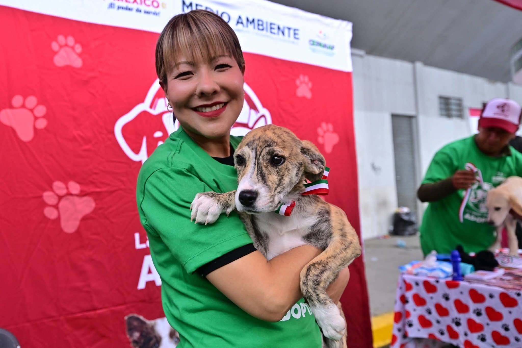 confirman-registro-de-agresores-animales-para-evitar-reincidencia