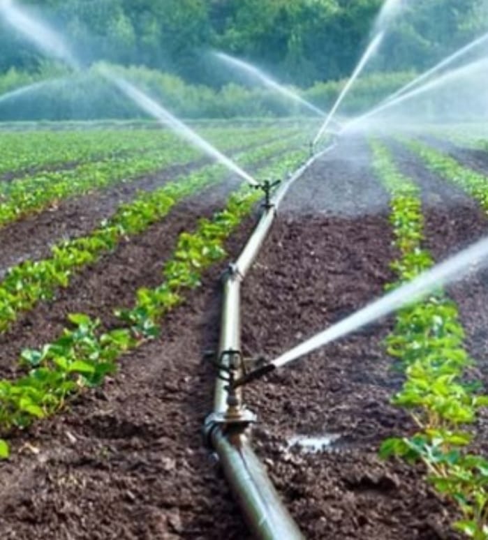 especialista-plantea-ampliar-tecnificacion-de-riego-para-contrarrestar-desperdicio-de-agua-potable