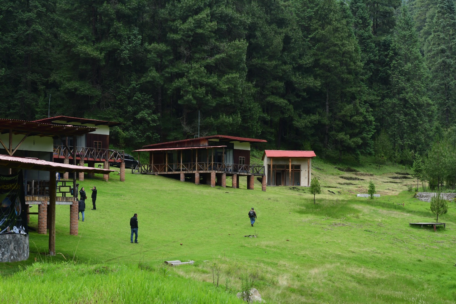 conserva-gobierno-del-edomex-habitats-sanos-para-proteger-a-las-luciernagas-indicadoras-de-la-salud-de-los-ecosistemas-forestales