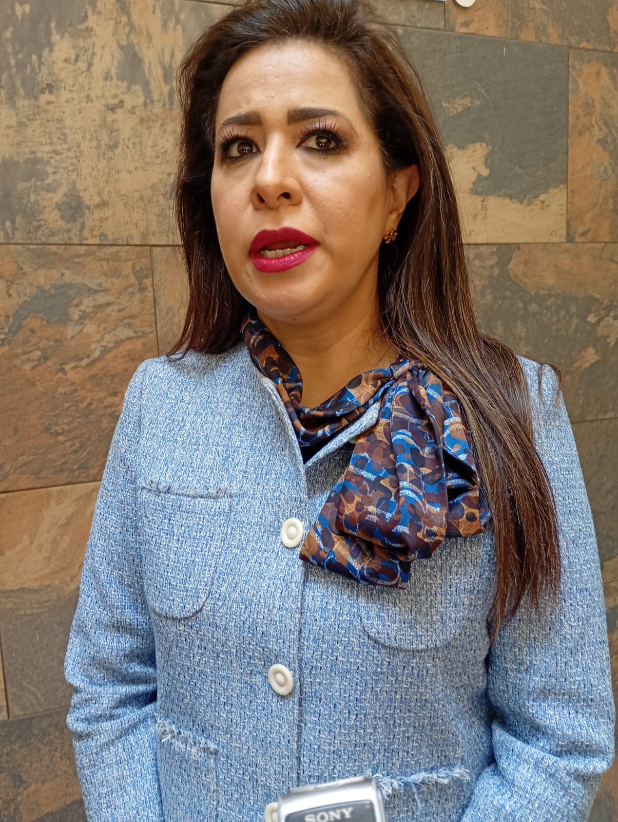 Atorada en  el Congreso  la ley para  acelerar la  apertura de  negocios de  bajo impacto