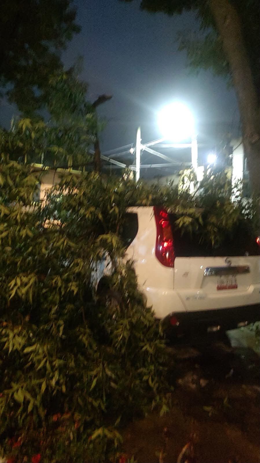 lluvia-arrasa-toluca-deja-arboles-caidos-calles-y-casas-inundadas