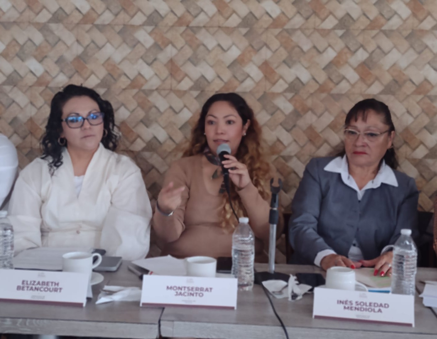 ni-chapulines-ni-palancas-en-eleccion-de-candidaturas-en-morena-pide-militancia