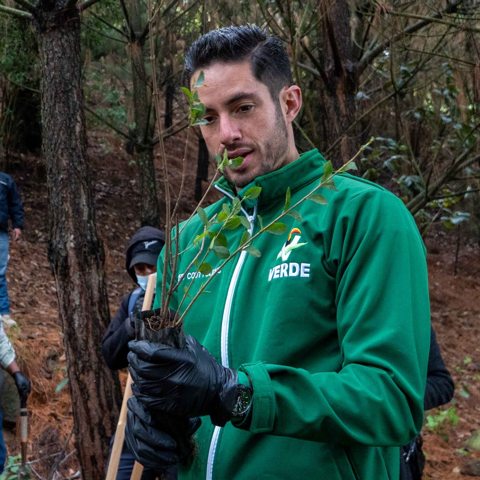 Couttolenc comienza la gira de reforestación ‘Un Voto, Un Árbol’ del PVEM