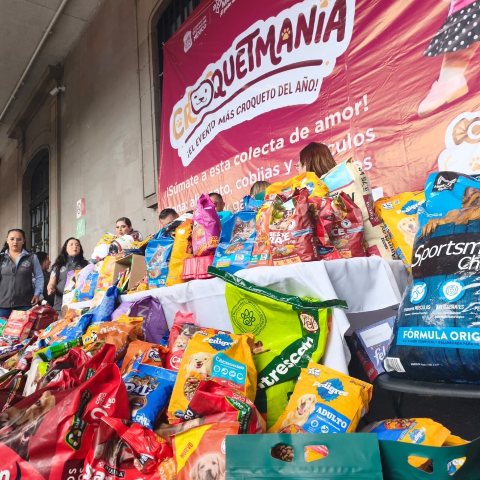 Extienden al 31 de julio colecta de croquetas para michis y lomitos del Edomex en resguardo