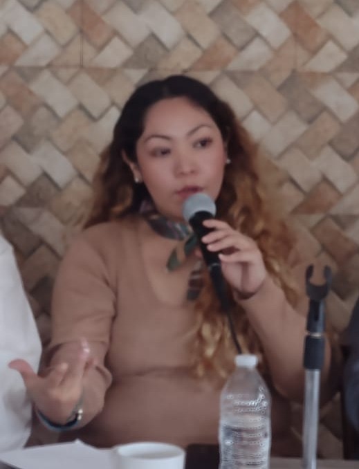 aun-imperan-en-toluca-la-inseguridad-la-exclusion-educativa-y-la-violencia-politica-vs-las-mujeres